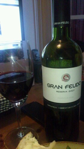 Rött vin - Gran Fe